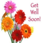 get well soon wishes: greeting, quotes, gif android application logo